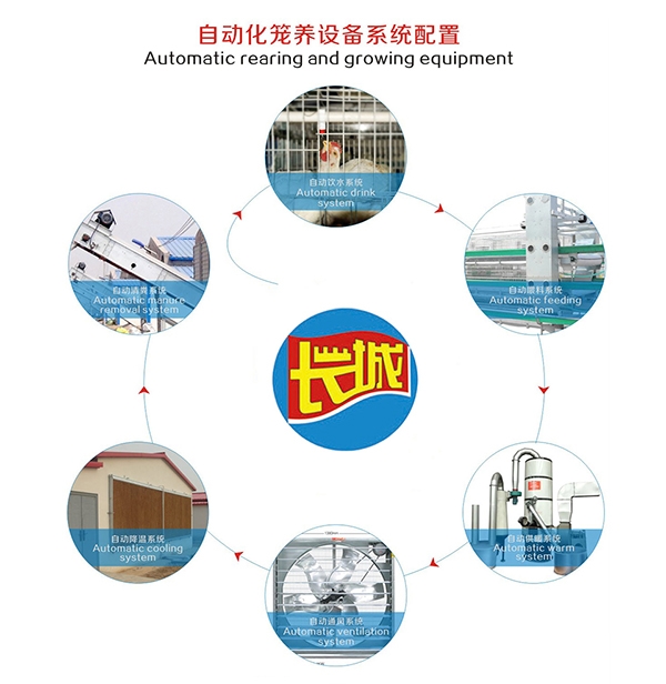 河南肉鸡自动饮水系统