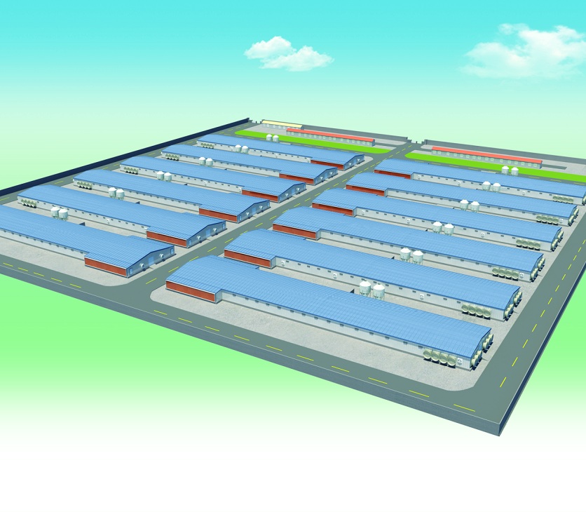 肉鸡场解决计划