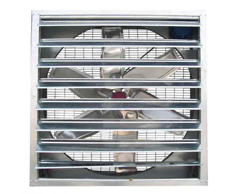 怎样确保蛋鸡装备有用透风？？？？？？