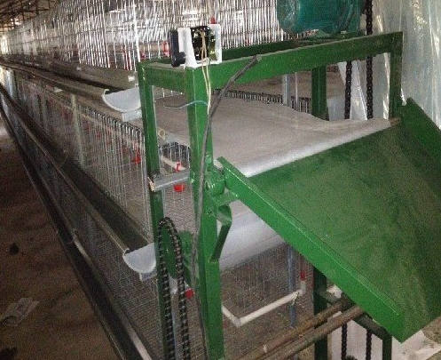 蛋鸡装备传送带式清粪机常见的这些问题你都知道吗？？？？？