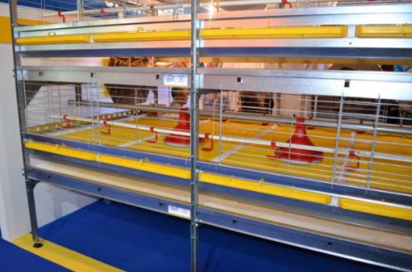 怎样给肉鸡装备风机镌汰噪音吗？？？？？？？？